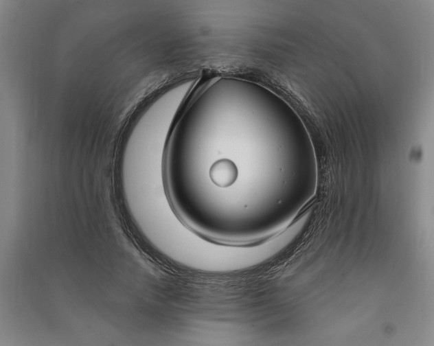 X0000090950738200708161755