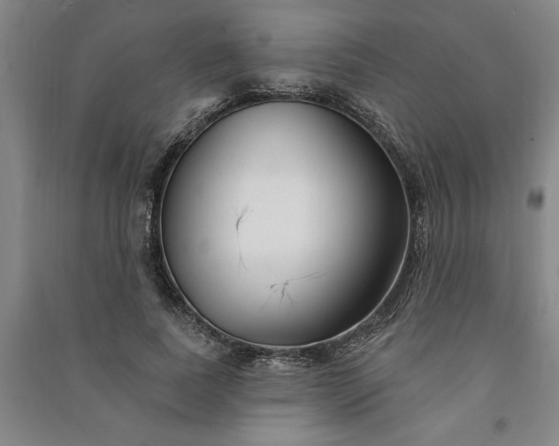 X0000090950739200708161755