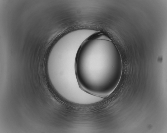 X0000090950740200708161755