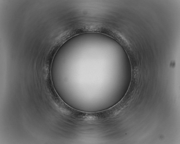 X0000090950741200708161755