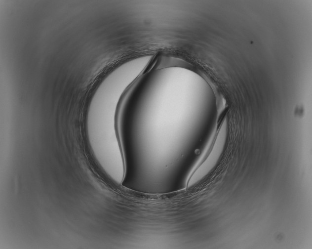 X0000090950742200708161755