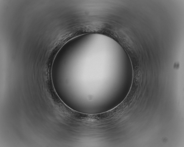 X0000090950743200708161755