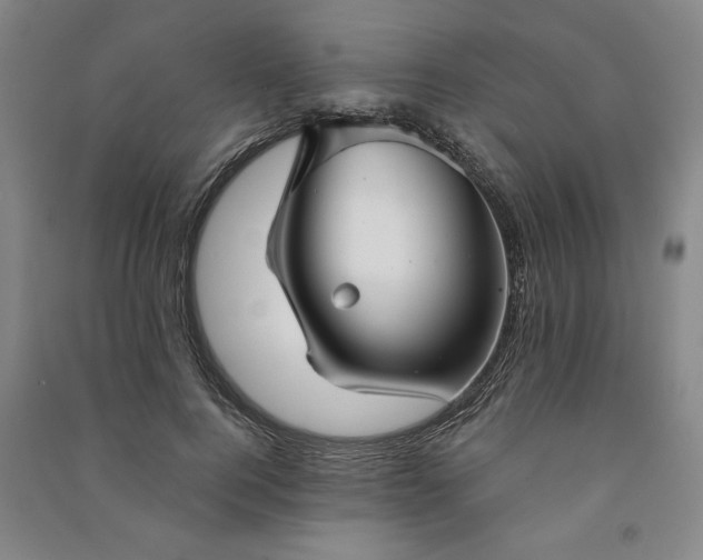 X0000090950744200708161755