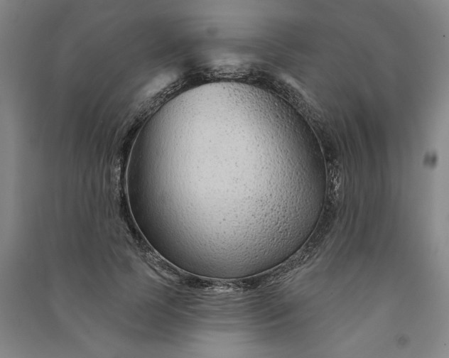 X0000090950745200708161755