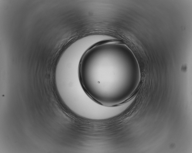 X0000090950748200708161755