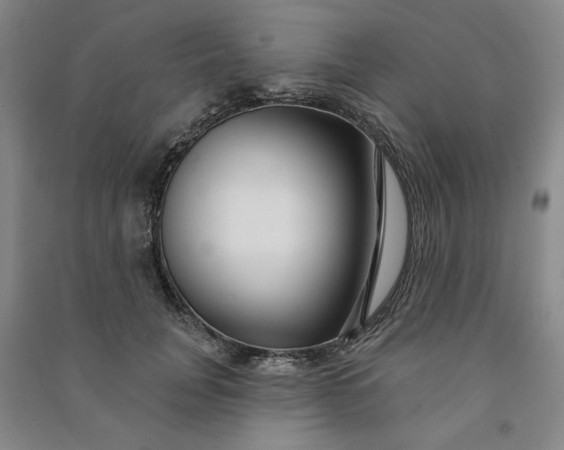 X0000090950751200708161755