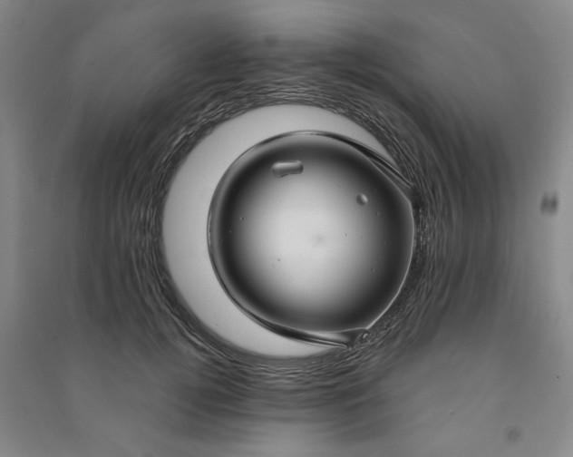 X0000090950752200708161755