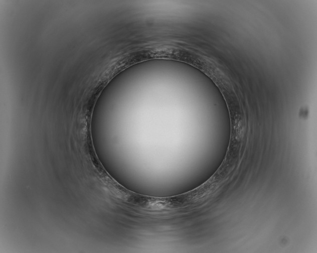 X0000090950753200708161755