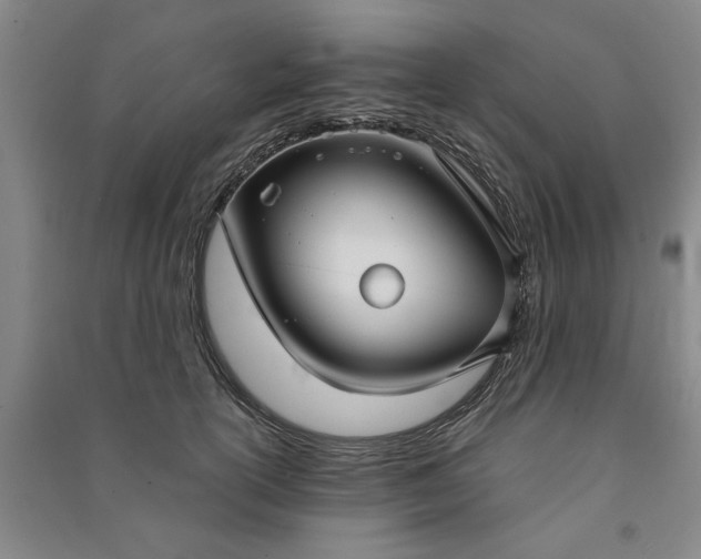X0000090950754200708161755
