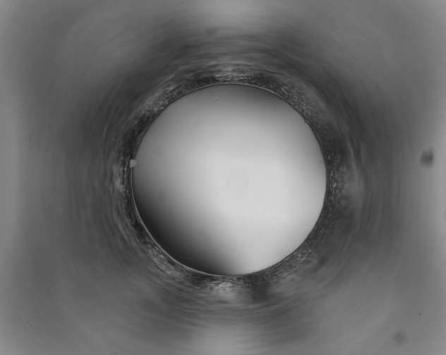 X0000090950755200708161755