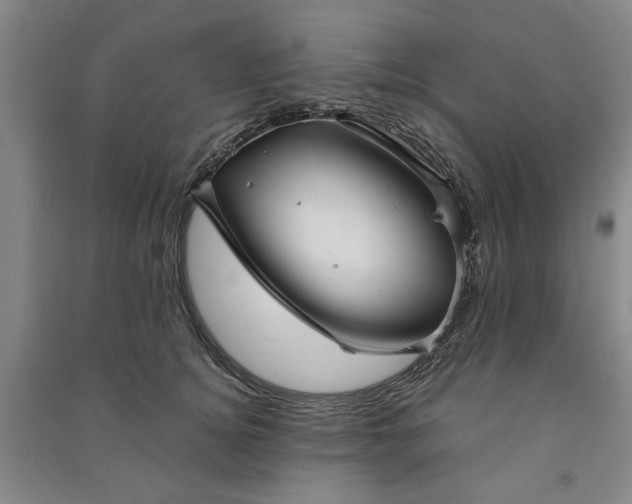 X0000090950756200708161755