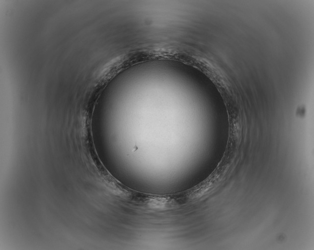 X0000090950757200708161755