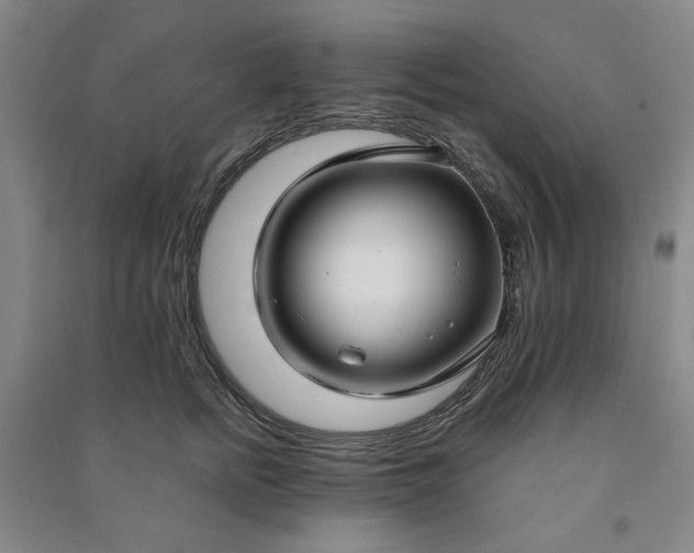 X0000090950758200708161755