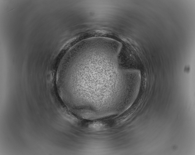 X0000090950759200708161756