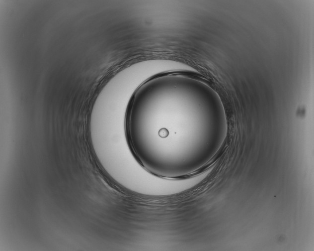 X0000090950760200708161756