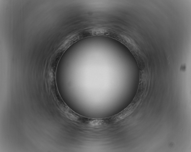 X0000090950761200708161756