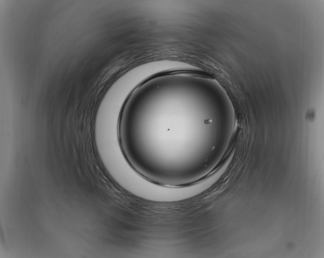 X0000090950762200708161756