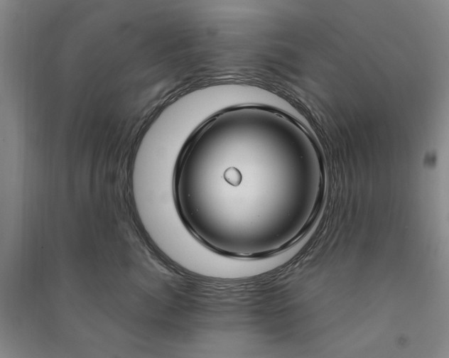 X0000090950764200708161756