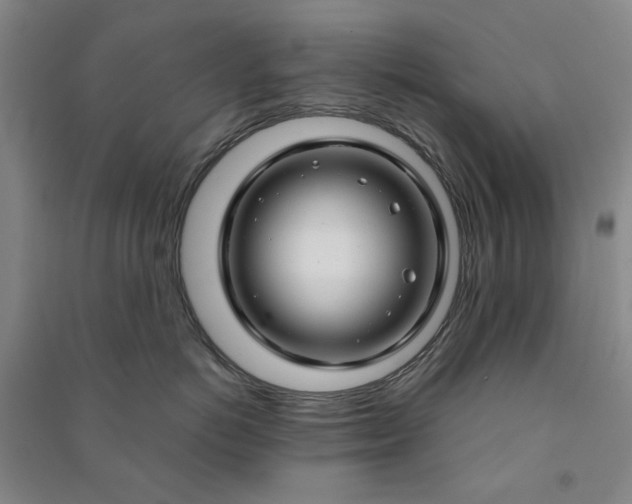 X0000090950766200708161756