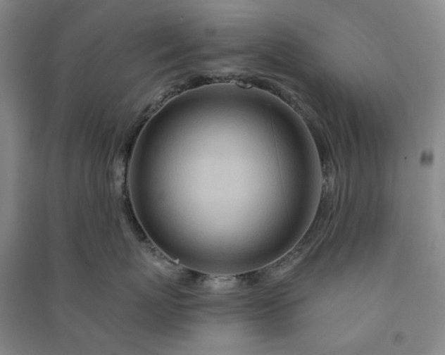 X0000090950767200708161756