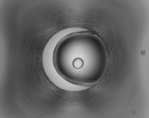 X0000090950768200708161756