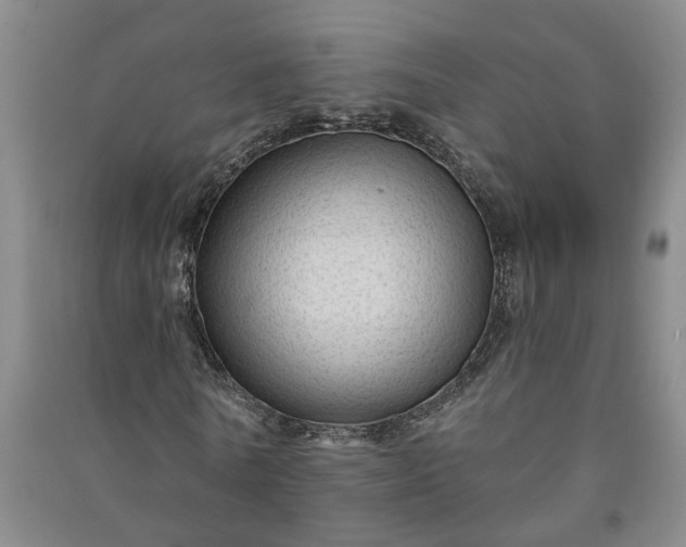 X0000090950770200708161755