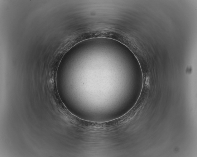 X0000090950771200708161755