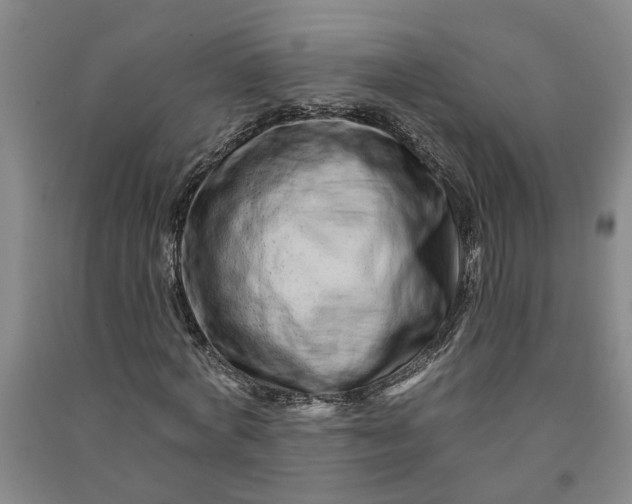 X0000090950772200708161755