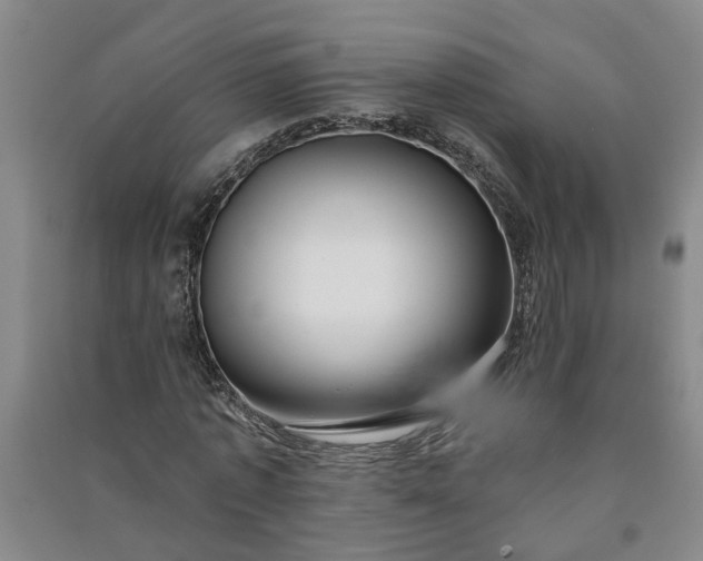 X0000090950773200708161755