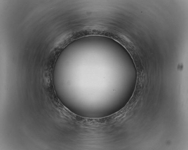 X0000090950774200708161755
