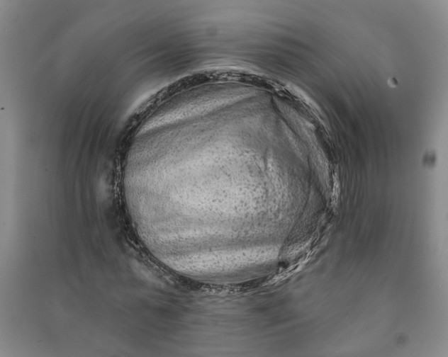 X0000090950775200708161755