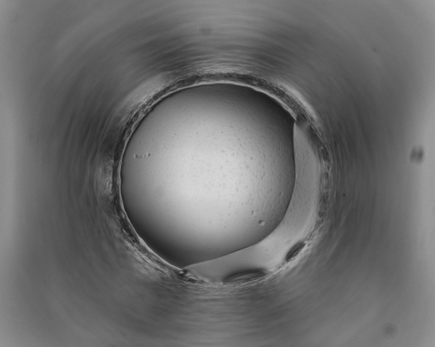X0000090950777200708161755