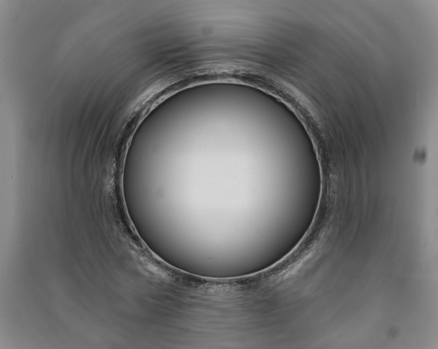 X0000090950778200708161755