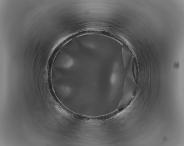 X0000090950779200708161755