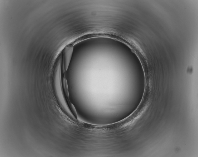 X0000090950781200708161755