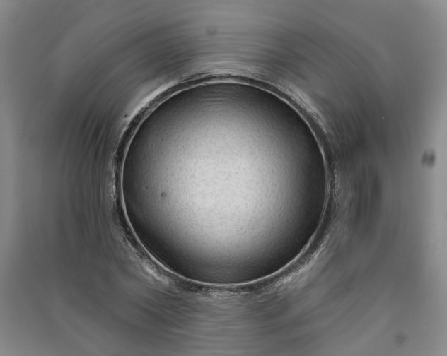 X0000090950782200708161755