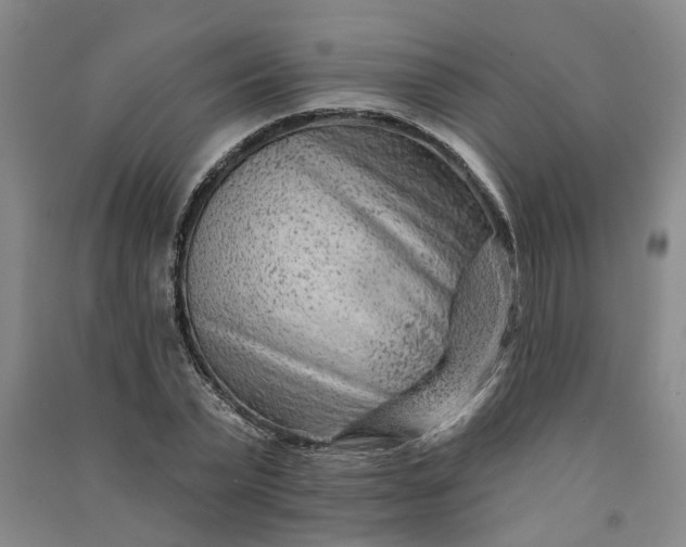 X0000090950783200708161755