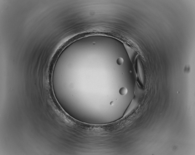 X0000090950784200708161755