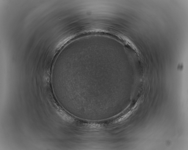 X0000090950785200708161755