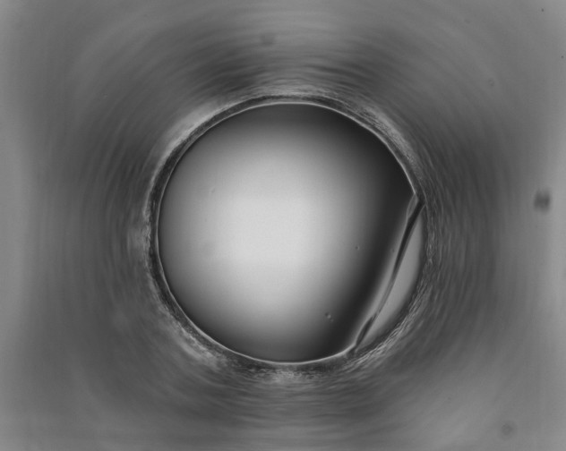 X0000090950787200708161755