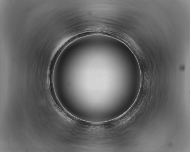 X0000090950788200708161755