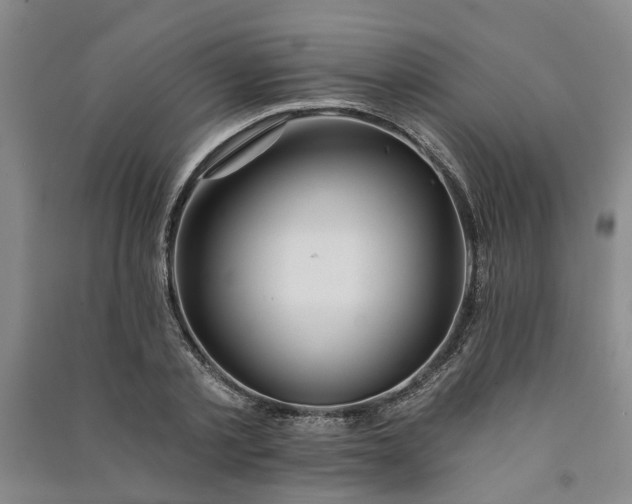 X0000090950789200708161755