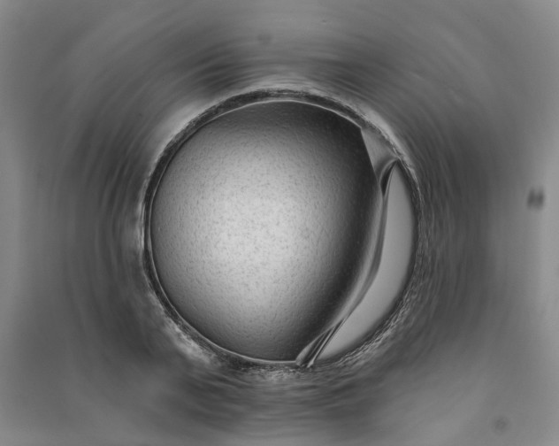 X0000090950791200708161755