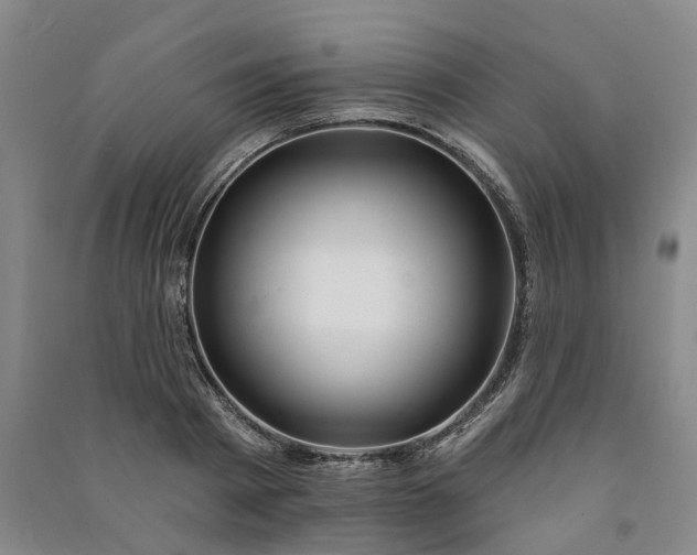X0000090950793200708161755
