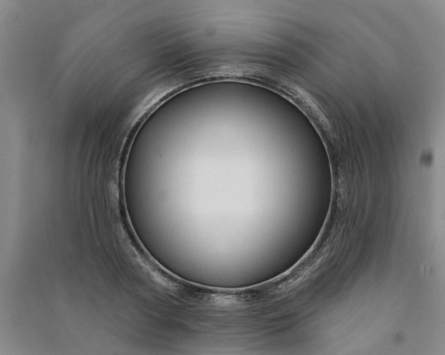 X0000090950794200708161755