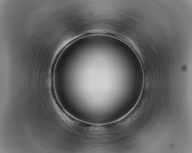 X0000090950795200708161755
