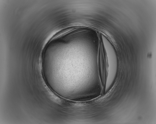 X0000090950796200708161755