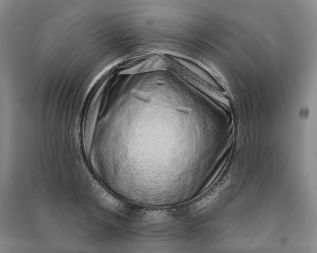X0000090950798200708161755
