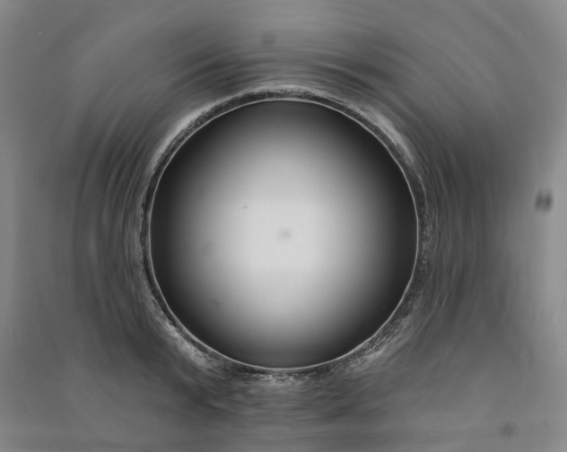 X0000090950799200708161755
