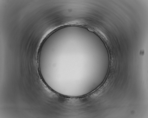 X0000090950800200708161755